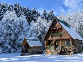 Cottage Tsivtskala in Racha, near Shaori